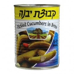 מלפפון בחומץ בינוני