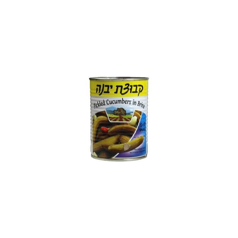 מלפפון בחומץ בינוני
