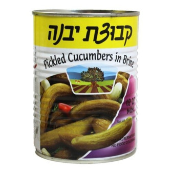 מלפפון בחומץ קטן