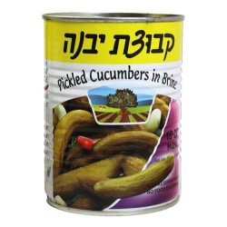 מלפפון בחומץ קטן