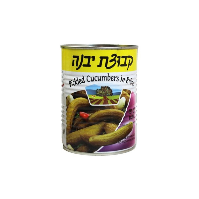 מלפפון בחומץ קטן